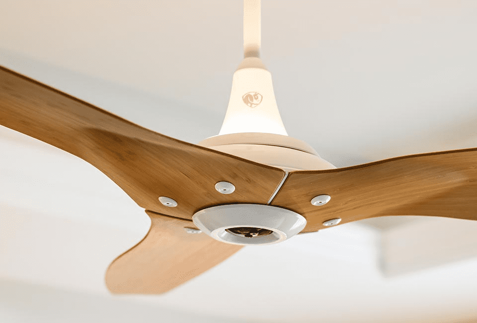 Smart Ceiling fans